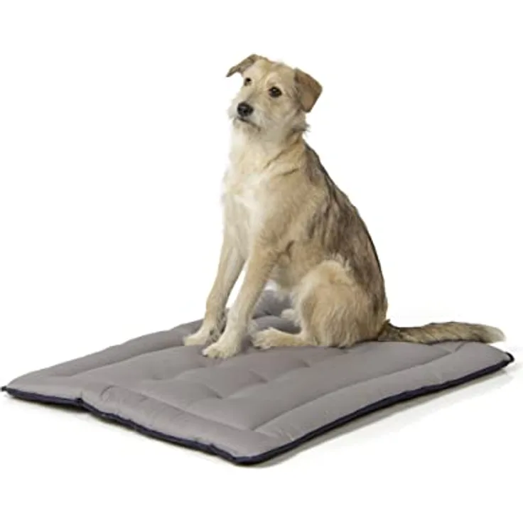 Wallace & Jones | Wendedecke pflegeleicht waschbar bis 95°C - gepolsterte Liegedecke für Hunde | XL - 90 x 70 cm - Schwarz/Grau