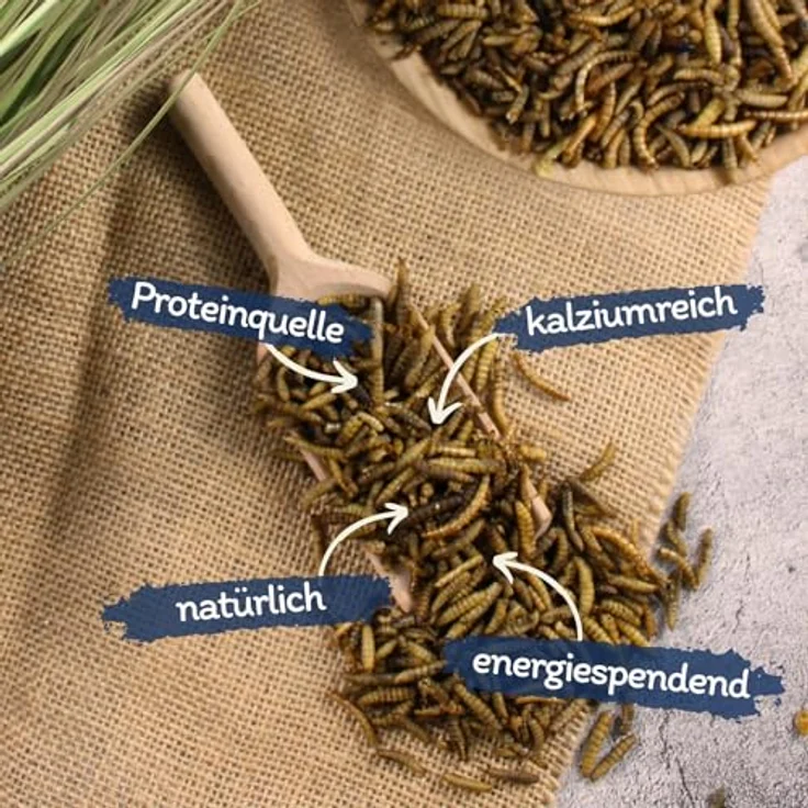 Lyra Pet® 5 kg Mehlwürmer Soldatenfliegenlarven Mix, getrocknet, reich an Proteinen & Ballaststoffen, ideales Kalzium-Phosphor-Verhältnis, natürliches Futter für Vögel, Nager, Fische & Reptilien – Bild 2