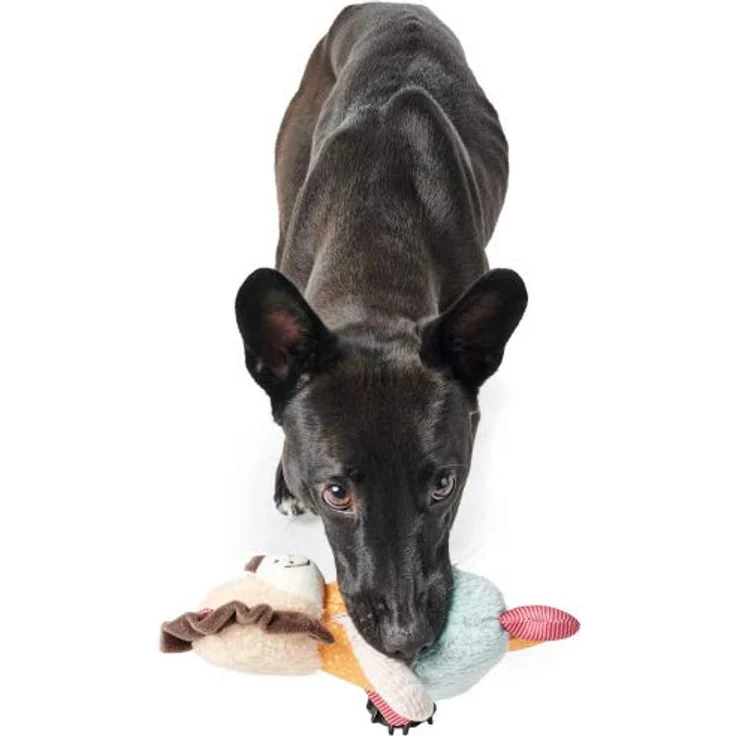 HUNTER MULI niedliches Hundespielzeug in Tier-Optik, zum Spielen und Kuscheln Farbe Löwe, Größe one-Size – Bild 3