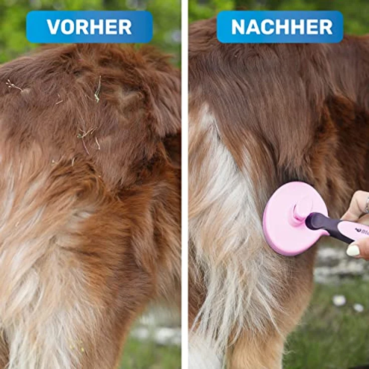 BluePet ZupfZeug Fellpflegebürste für Katzen und Hunde - Katzenbürste Langhaar Selbstreinigend - Zupfbürste - Fellpflege Britisch Kurzhaar - Hundebürste – Bild 4