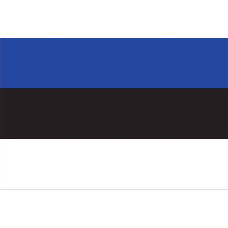 Flagge Estland 110 g/m² ca. 150 x 250 cm
