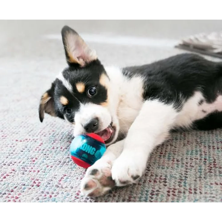 KONG Squeezz Action Ball, Rot - Interaktives, Quietschendes Apportierspielzeug mit Mehrfachen Texturen - Für Große Hunde – Bild 4