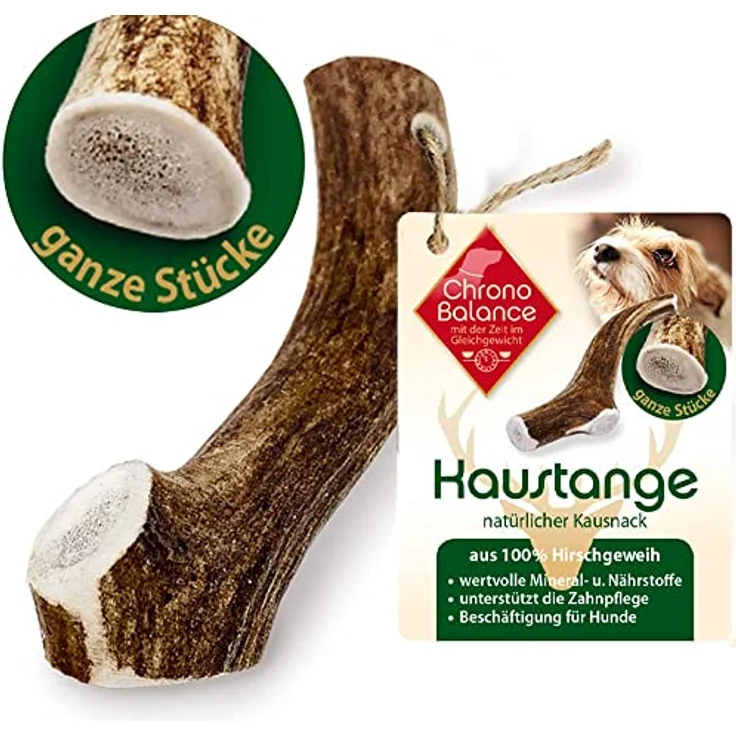 ChronoBalance® XL (5er Set) Hirschgeweih Hundespielzeug, Zahnpflege, Kausnack, Kauknochen - Naturbelassen, ohne Zusätze – Bild 2