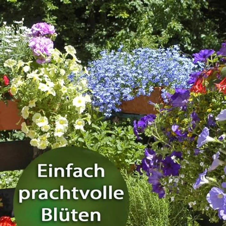 SUBSTRAL Dünger-Stäbchen für Blühpflanzen 30 St. – Bild 3