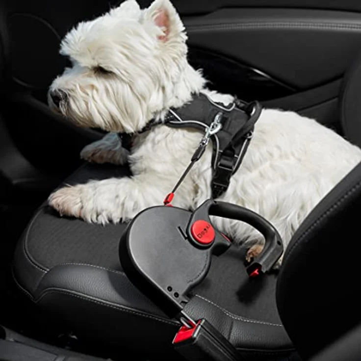 Dogxi Hundeleine Rollleine 5m 25kg Griff aufklappbar Gurtzunge im Auto befestigen kleine mittelgroße Hunde schwarz mit Karabiner Leine 11mm breit ausziehbar verstellbar einziehbar – Bild 4