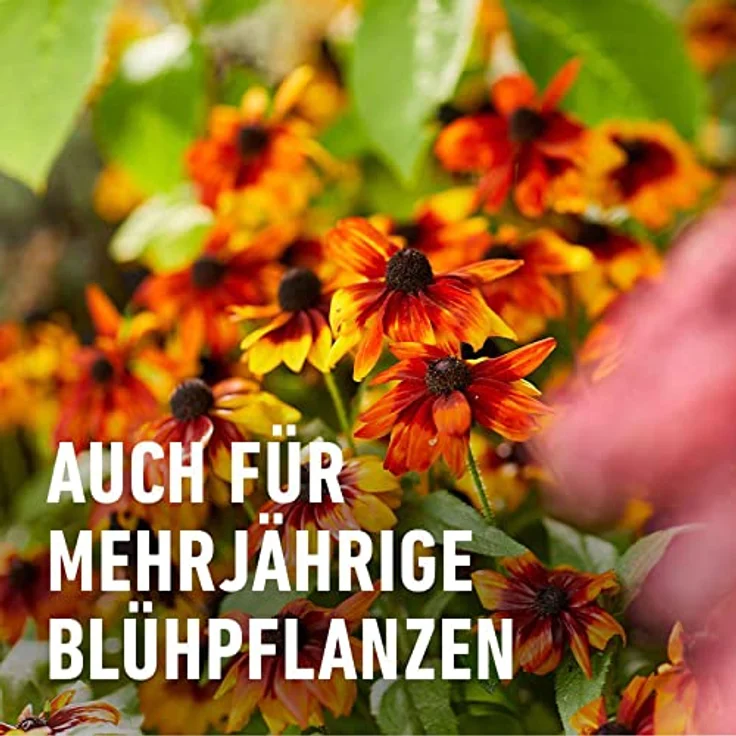 Compo Stauden Langzeit-Dünger neu, 2 kg – Bild 5