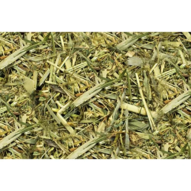 JR Farm Kräutergarten | Doppelpack | 2 x 100 g | Raufuttermittel für alle Nager und Zwergkaninchen | Zur Unterstützung des Zahnabriebs | Mit Hafer, Petersilie und Luzerne – Bild 4