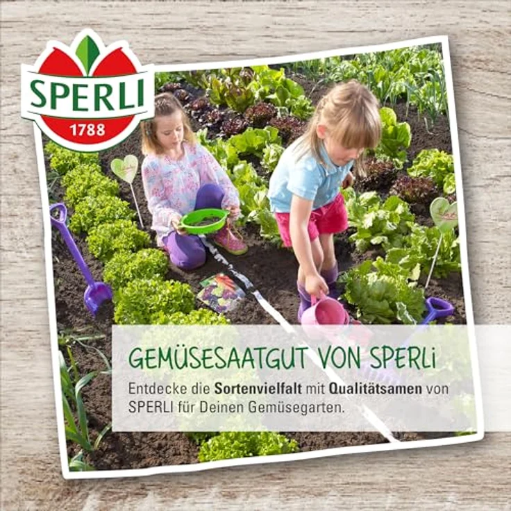 Sperli Salatmischung Asia Spicy Green Mix – Bild 4