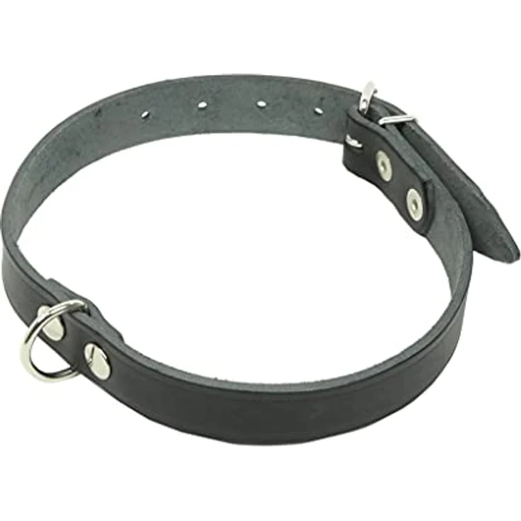 Kerbl Pet Mexica Halsband schwarz 25 mm, 46-56 cm genietet – Bild 1