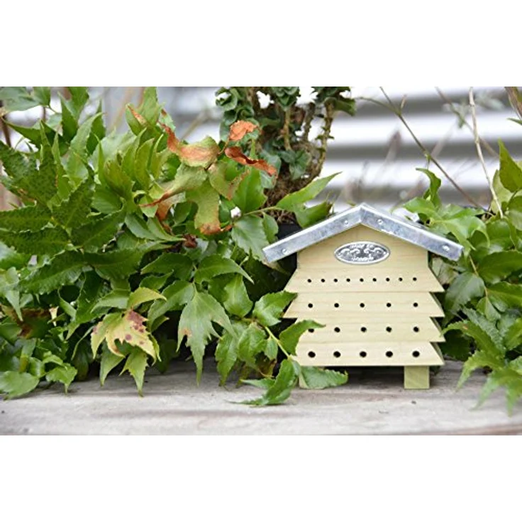 Esschert Design WA44 1 x Bienenhaus Holz – Bild 5