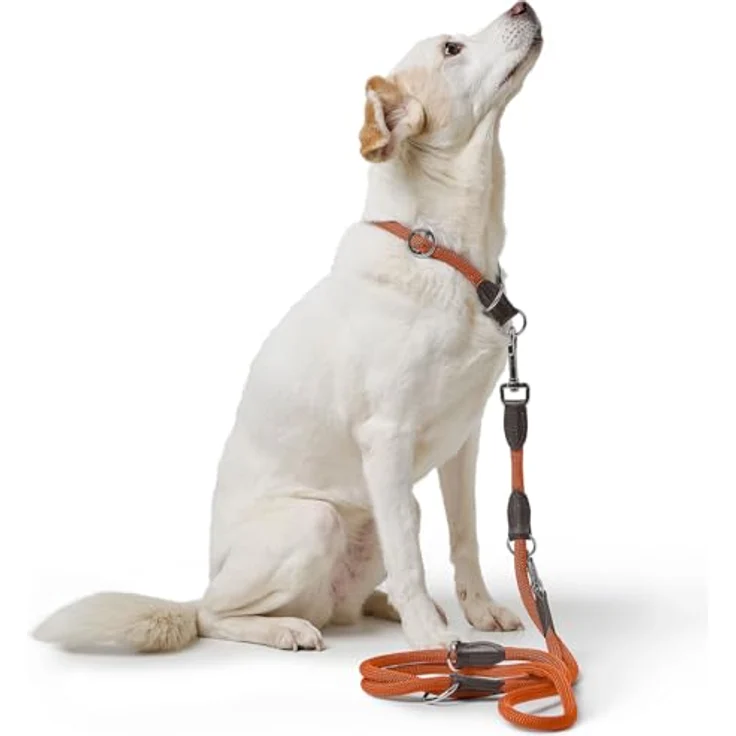 HUNTER Verstellbare Führleine Freestyle (orange, 08/200) 3-fache Verstellmöglichkeit, strapazierfähiges Polyamid – Bild 4