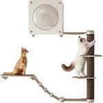 Feandrea Clickat Oasis - Kletterwand Katzen, 5er Set, extrem schnelle Montage, unbegrenzt erweiterbar, austauschbare Module und Teile, Katzenmöbel, Katzenbrett, Hängematte, Kratzstamm, Katzenhöhle