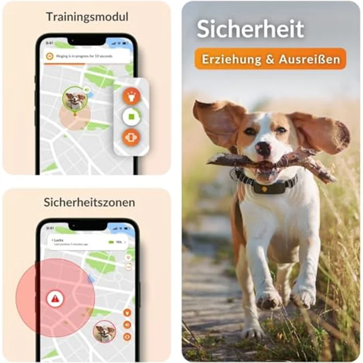 Weenect Hund XT, GPS-Halsband mit XL-Antenne, wasserdicht, integriertes Julius-K9 Halsband in Orange, Abonnement erforderlich – Bild 5