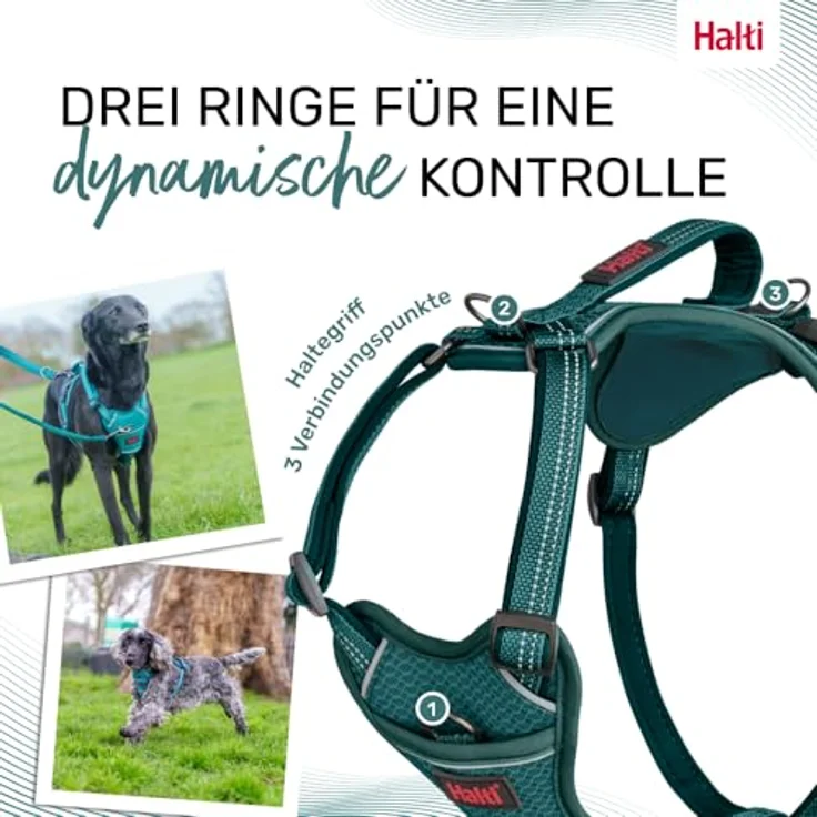 Company of Animals HALTI Anatomy Hundegeschirr mit Griff – 3 Verbindungspunkte, Neoprenpolsterung, verstellbar, reflektierend (Größe XL, Blaugrün) – Bild 5
