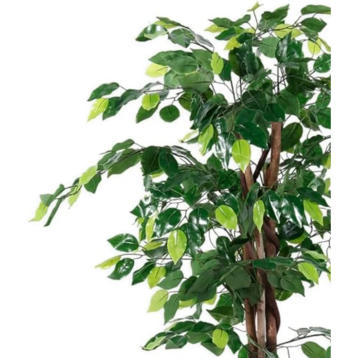 Spetebo Kunstpflanze Benjamini breit im Blumentopf - 115 cm - Deko Pflanze Zimmerpflanze künstlich Kunstbaum Birkenfeige – Bild 4