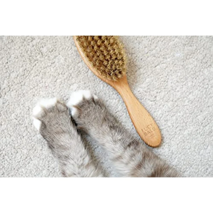 LucyBalu® Katzenbürste für Kurzhaar & Langhaar | Fellbürste für Katzen| Katzenkamm zur Fellpflege von Katzen | Tierhaarbürste für Katzen| Katzenhaarbürste mit Naturborsten & Holzgriff | geölt – Bild 4