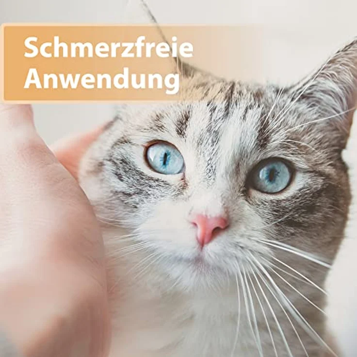 Felisept Wundgel für Katzen, 20ml - Optimale Wundversorgung, schmerzfreie Anwendung, positiver Effekt auf die Narbenbildung – Bild 4