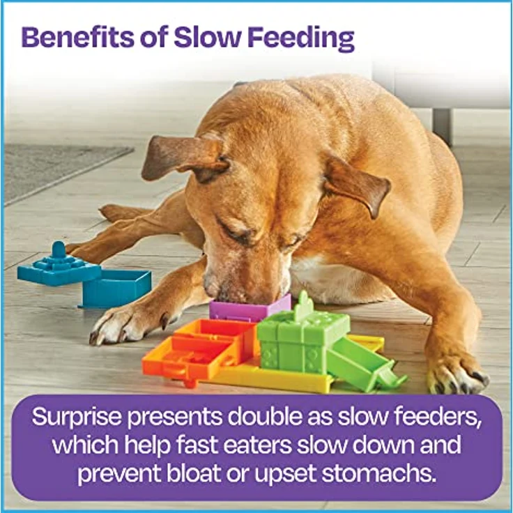 Brightkins Surprise Party Treat Puzzle (Beschäftigungsspielzeug), Hundespielzeug – Bild 7