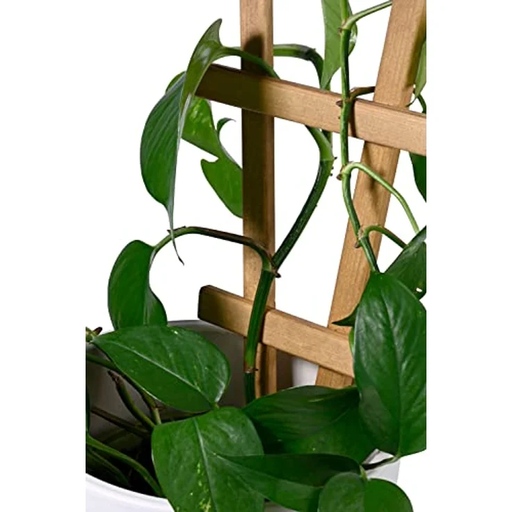 dobar® Green Label 29185FSCe Dekorative Blumentopf-Rankhilfe Sorento| 4er-Set Rankgitter aus Holz | 19 x 1,4 x 39 cm | Pflanzstütze Gr. M | Braun – Bild 5