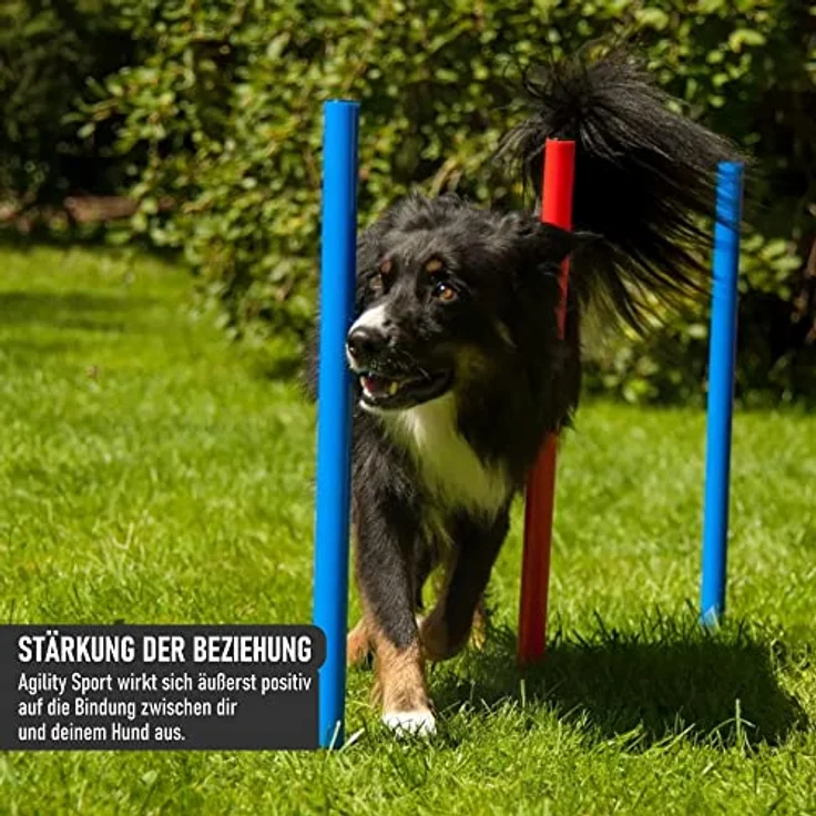 LEMODO Agility Set Hunde | Hundetraining mit Agility Hürde, Hundetunnel und Sprungring | Einfach zu transportierendes Hundetraining Zubehör | Einsteiger-Set in den Hundesport – Bild 5