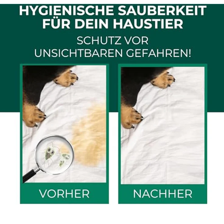 Silberkraft Giardienspray 500 ml, Hygienespray gegen Giardien, Bakterien, Viren & Pilze für Tierumgebung - Desinfektionsspray für Näpfe, Böden & Tierplätze mit gratis E-Book per QR-Code – Bild 2