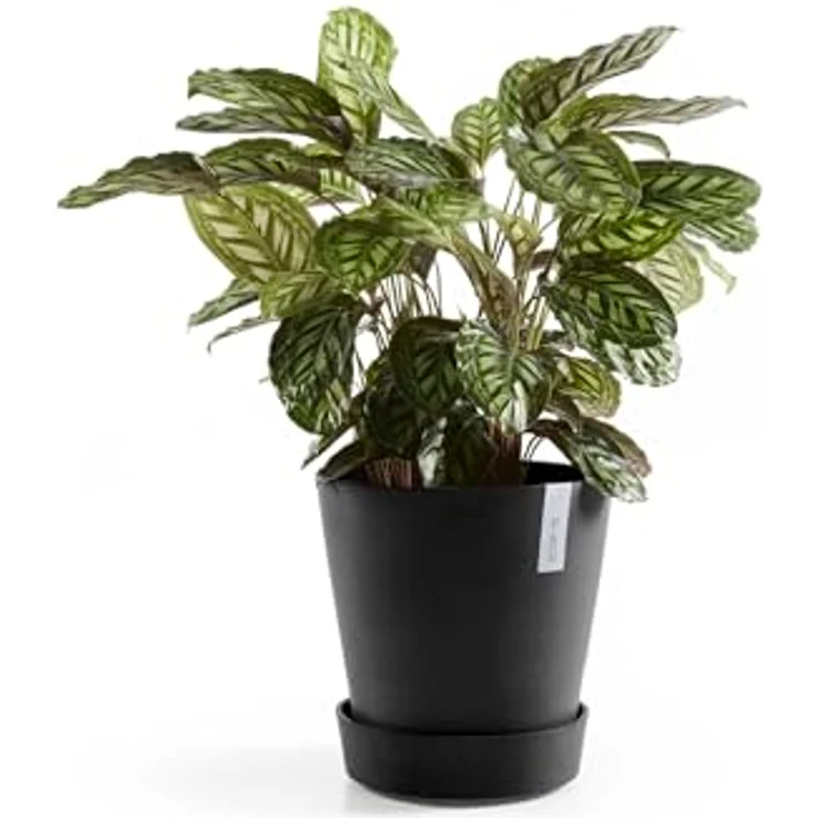 Ecopots Amsterdam Blumentopf-Untersetzer mit Rollen, Ø 51 cm, dunkelgrau, mit integriertem Kupferring zur Mückenprävention – Bild 5