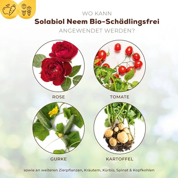 Bayer Solabiol Bio-Schädlingsfrei Neem 60 ml – Bild 4