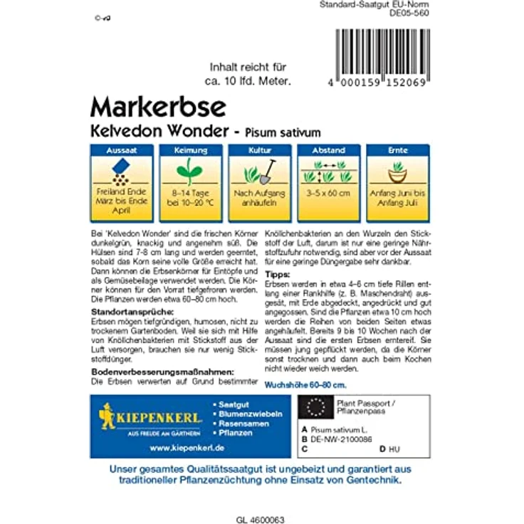 Kiepenkerl Markerbse Kelvedon Wonder, dunkelgrün knackig angenehm süß, tiefgefrier Sorte, für Eintöpfe und Gemüsebeilage – Bild 3
