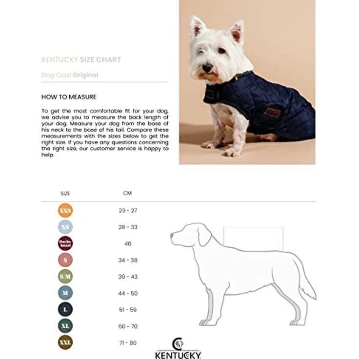 Kentucky Hundemantel Marineblau M 44-50cm - 160g Füllung, extra Wärme + Komfort, diamantenförmiges Steppmuster – Bild 3