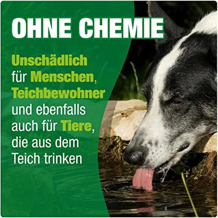 AQUALITY Gartenteich Teich-Aktiv 3in1 (Langfristig klarer Gartenteich - baut Mulm und Teichschlamm ab - verbessert deutlich die Wasserqualität), Inhalt:2 kg – Bild 5