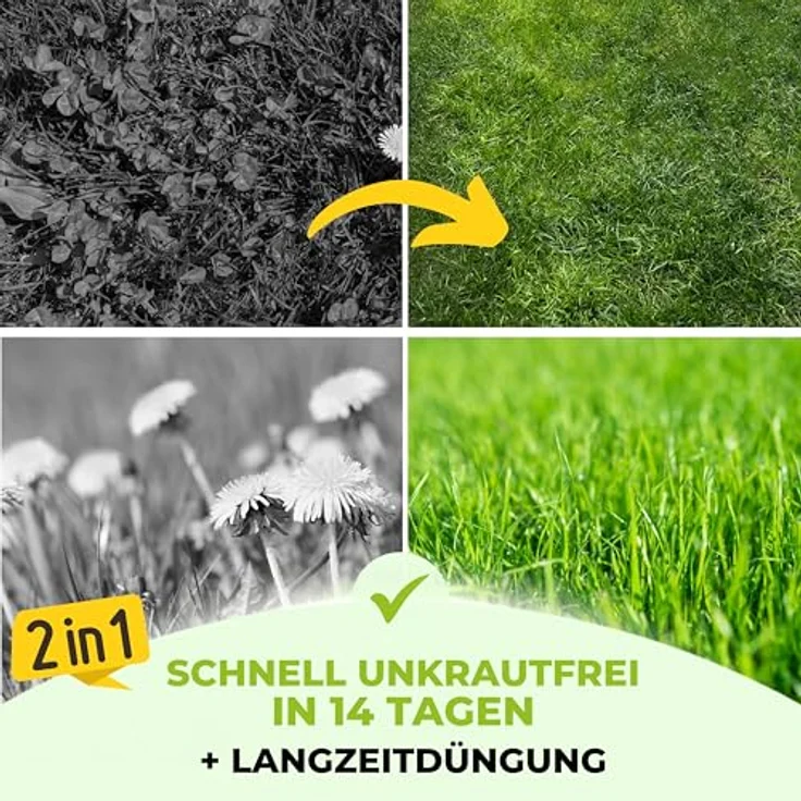 TerraUno Rasendünger mit Unkrautvernichter, extra stark, 5 kg für 250 m², 100 Tage Langzeitwirkung gegen Löwenzahn und Klee für saftiges Grün im Frühjahr & Sommer – Bild 2