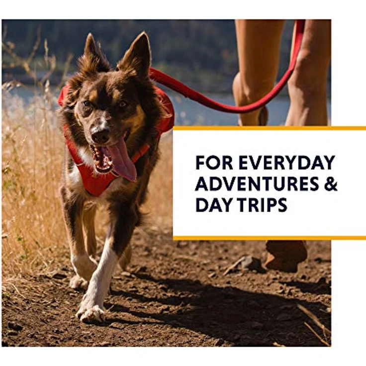 RUFFWEAR Switchbak Every-Day Hundegeschirr mit Taschen, ganztägiger Komfort mit integrierten Taschen für Kurze Tageswanderungen und alltägliche Aktivitäten, große bis sehr große Rassen, Red Sumac – Bild 2