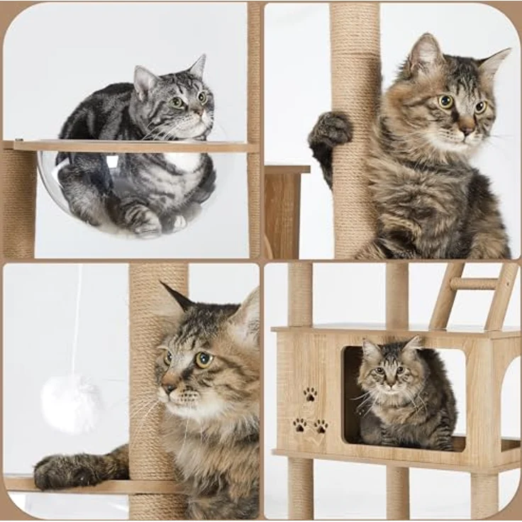 Mondeer Holz Kratzbaum Groß, Katzenbaum mit Zwei Katzenhäusern, mit Herausnehmbaren Plüschkissen und Transparenter Kapsel, Moderner Stil, für Katzen im Haus, 82 x 70 x 185 cm – Bild 5