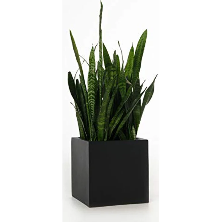 VIVANNO Pflanzkübel Blumenkübel Übertopf Fiberglas Anthrazit Block 30x30x30 – Bild 2