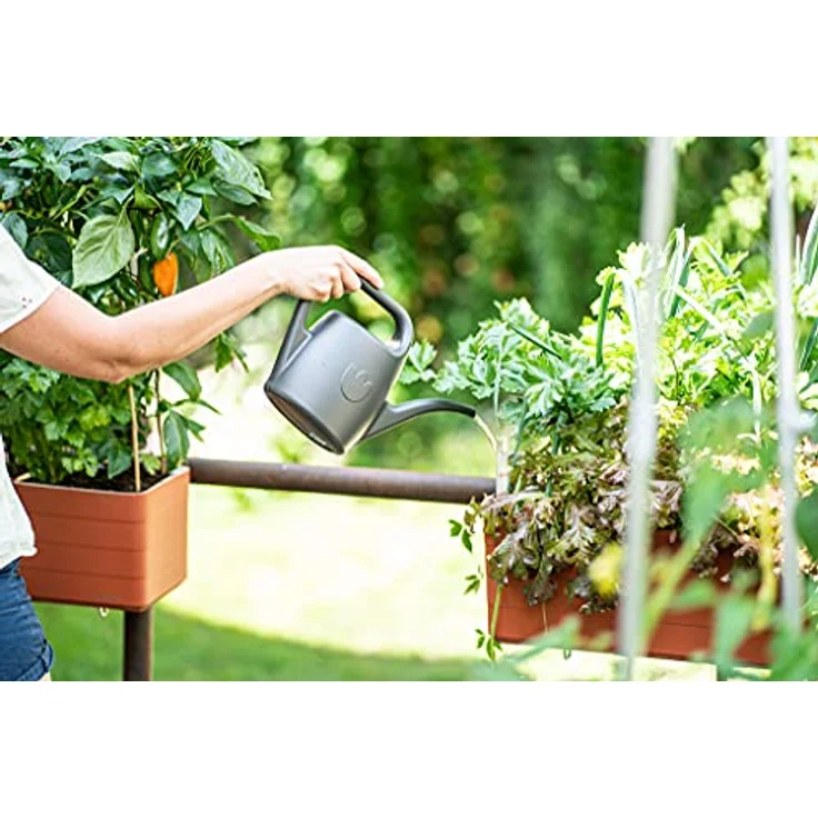 Plastia Gartengießkanne mit dem Brausekopf, 2 Liter - Gießkanne aus Hochwertigem Kunststoff - Handliche Giesskanne für Innen- und Außenbereich - Ideal für Bewässerung für Zimmerpflanzen, Grün – Bild 4