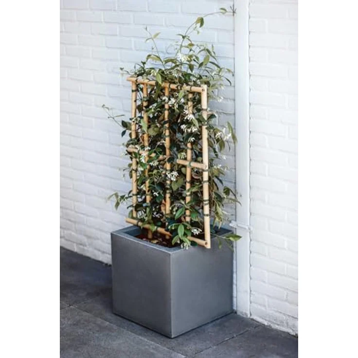 Capi Europe Blumentopf quadratisch Smooth NL 50x50 Schwarz Öffnung Ø42 wasserdicht bruchsicher KBL904 – Bild 3