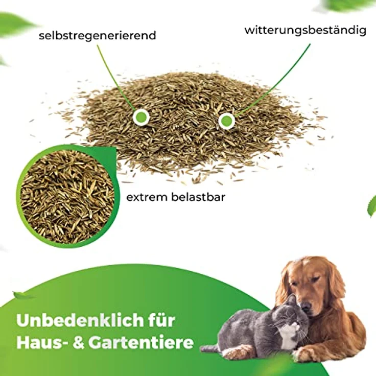 Greenyp® Sport Rasensamen, strapazierfähiger Sport- & Spielrasen, schnellkeimend, 2,5kg für 100m², robust und trittfest – Bild 4