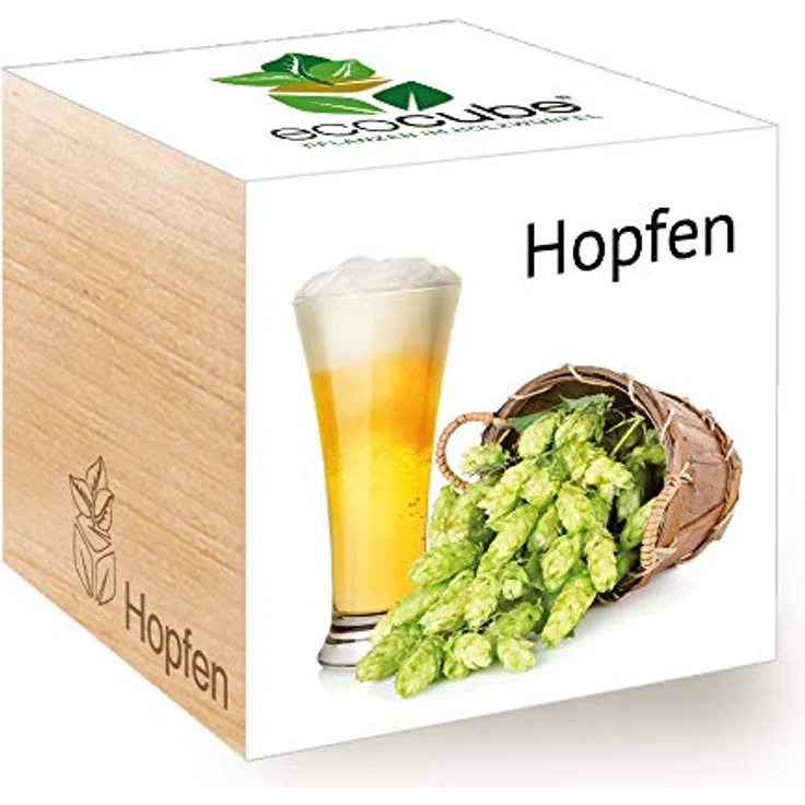 Feel Green Ecocube Hopfen, Anzuchtset für Craft Beer im Holzwürfel, 100% Eco Friendly, Made in Austria – Bild 1
