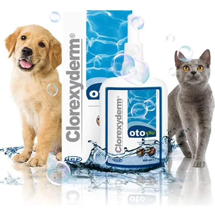 ICF Clorexyderm Oto Più Ohrreiniger für Hunde und Katzen, 150 ml - Saurer Ohrreiniger zur Therapiebegleitung bei Malassezien-Otitis, pH-neutral, schonende Reinigung - Preisvergleich