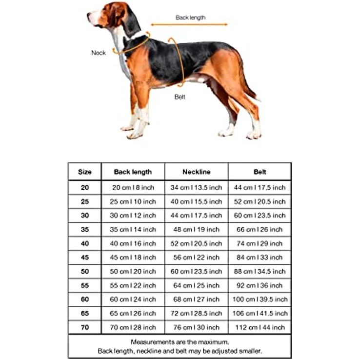 PAIKKA Sichtbarkeit Regenmantel Lite Leo 30, Hundemantel mit wasserdichter Kapuze, Leichtes Mesh-Futter, bunt – Bild 4