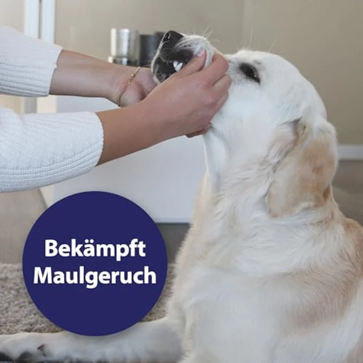 Canosept Zahnpflege Spray für Hunde, 100 ml, Verbesserung der Maulhygiene und frischer Atem – Bild 3