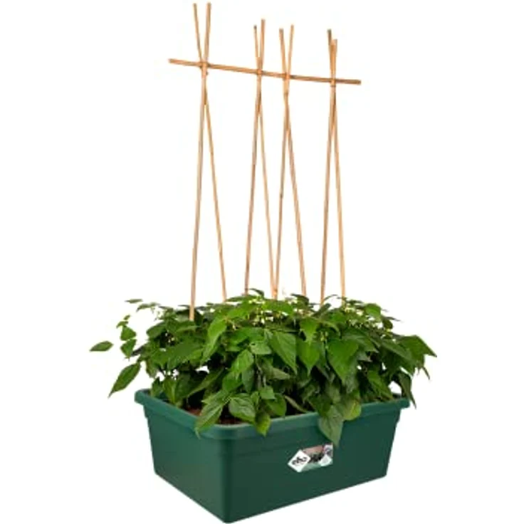 Elho Green Basics Beweglicher Garten, Übertopf für Draußen in Laubgrün, 76.7 x 57.9 x 29 cm, mit 6 integrierten Rädern, aus Recycling-Kunststoff, 100% recycelbar – Bild 3