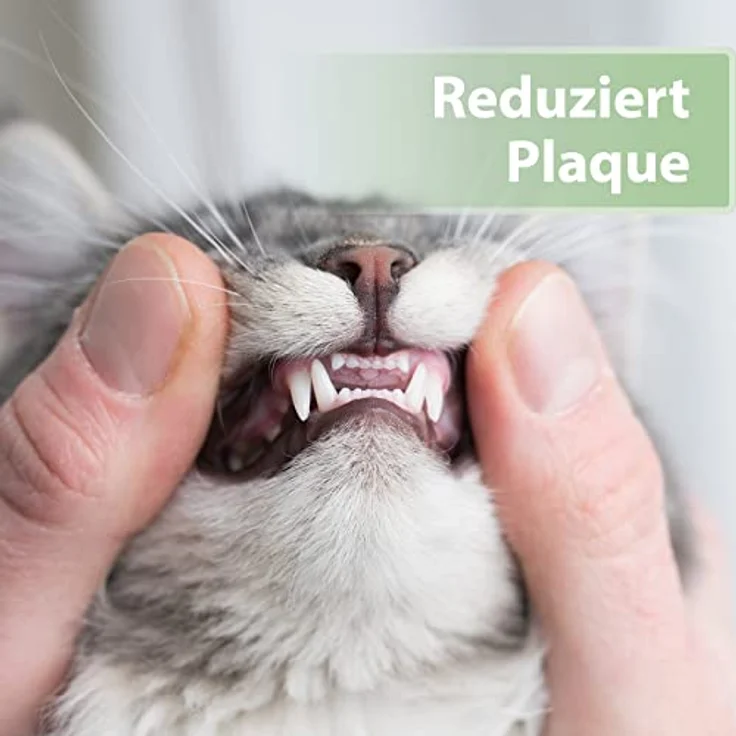 Felisept Zahnpflege Finger-Pads für Katzen, 50 Stück, zur Plaque-Reduktion und frischem Atem – Bild 3