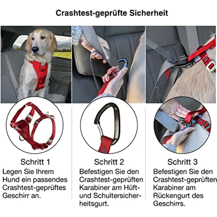 Kurgo Autogurt (XS, Hund), Halsband + Leine – Bild 5