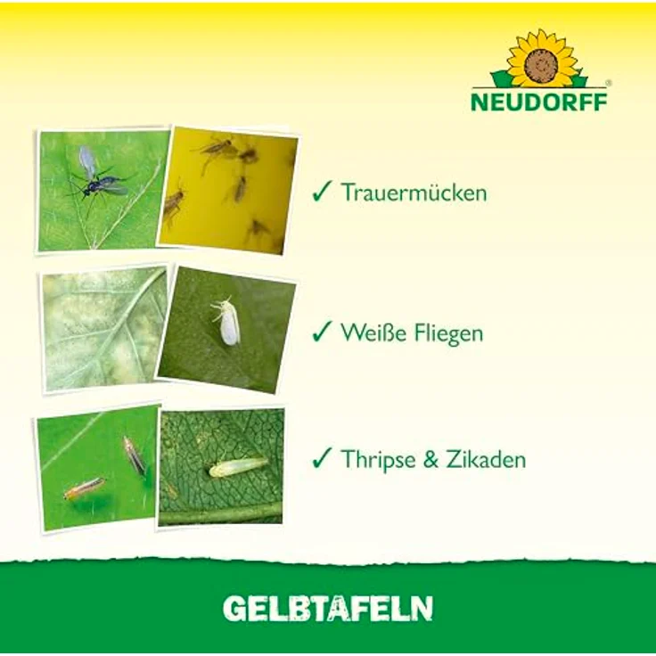 Neudorff Gelbtafeln (kleinformatig) 7,50 x 20 cm – Bild 5