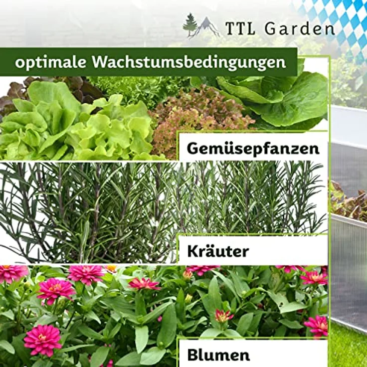 TTL Garden Frühbeet Aufsatz 100x60x40cm, Alu & Polycarbonat, Mini-Gewächshaus mit einstellbarem Deckel für optimale Wachstumsbedingungen, robuster Aluminiumrahmen, witterungsbeständig – Bild 5