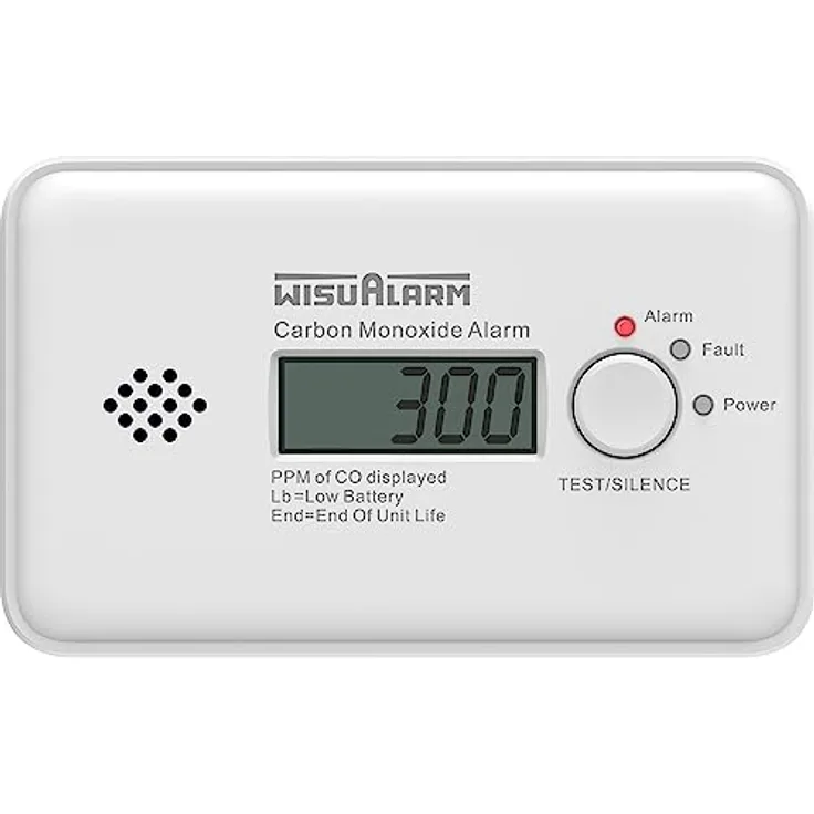 WISUALARM Kohlenmonoxid Melder, 10 Jahre CO Messgerät mit LCD Display, Test/Silence Taste, TÜV Zertifiziert nach EN 50291, hoher Alarmton über 85 dB