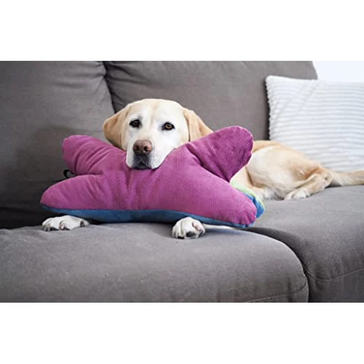 Lebon - Cruto XL Color - Hundekissen Kopfkissen - Zum entspannen und Spielen Made in EU – Bild 2