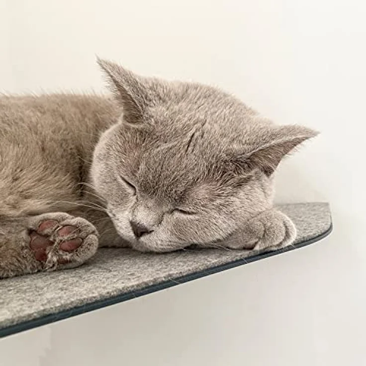 LucyBalu® CORNER Katzenliege & Kletterstufe mit Filzauflage für Wandecken | Wandliege für Katzen | Katzenstufe Wandecke | Katzen Wand Liegeplatz | Katzenmöbel für Kletterwand | Katzenregal | Anthrazit – Bild 5
