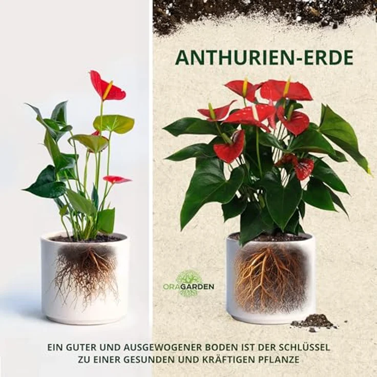 OraGarden Anthurien Erde Blumenerde für Anthurium Premium Qualität (6L) – Bild 3